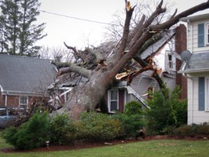 Storm, storms, storm damage, hail damage, wind damage, water damage, roof damage, insurance claim, storm restoration, storm damage prevention